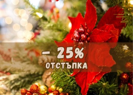 РАННО ЗАПИСВАНЕ ЗА КОЛЕДА